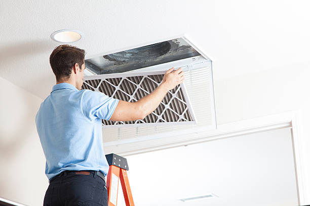 Best Air Filters and Purifiers in Sugarland Run, VA